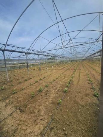 Terreno en Pazos - Mandía