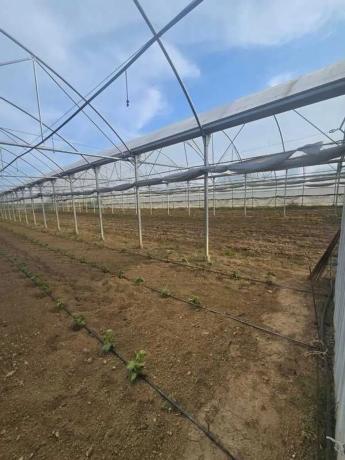 Terreno en Pazos - Mandía