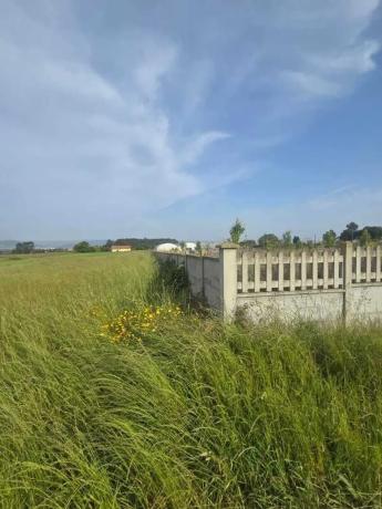 Terreno en Pazos - Mandía