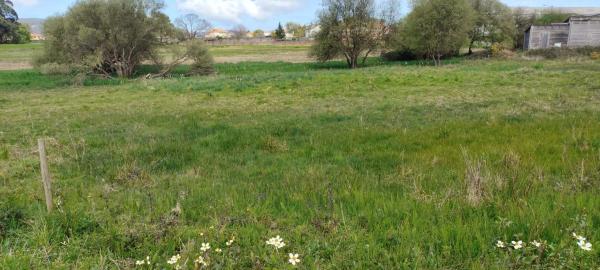 Terreno en calle Francisco Yáñez s/n