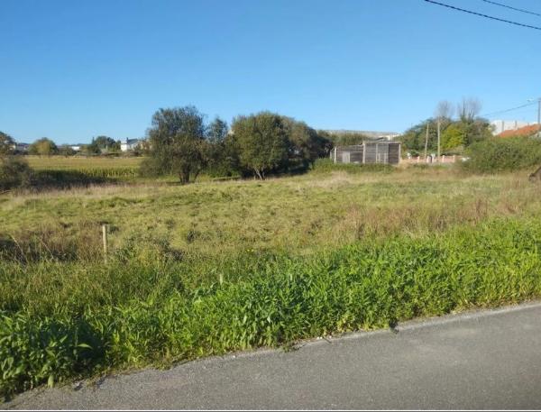 Terreno en calle Francisco Yáñez s/n