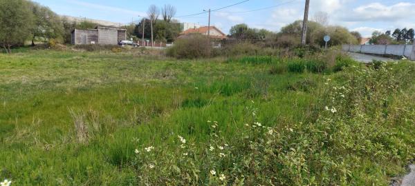 Terreno en calle Francisco Yáñez s/n