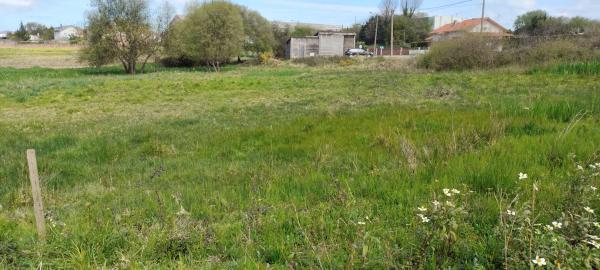 Terreno en calle Francisco Yáñez s/n