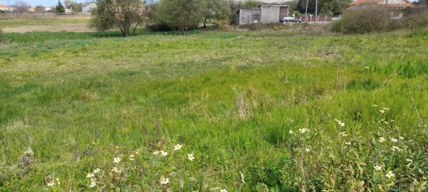 Terreno en calle Francisco Yáñez s/n