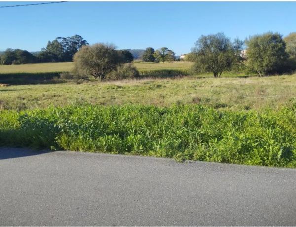 Terreno en calle Francisco Yáñez s/n