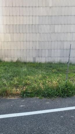 Terreno en carretera de Cedeira, 70