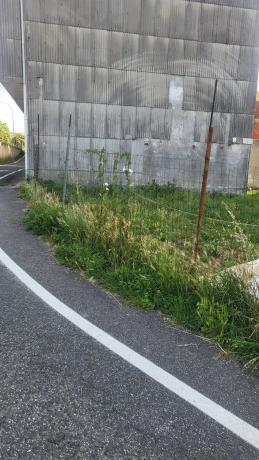 Terreno en carretera de Cedeira, 70
