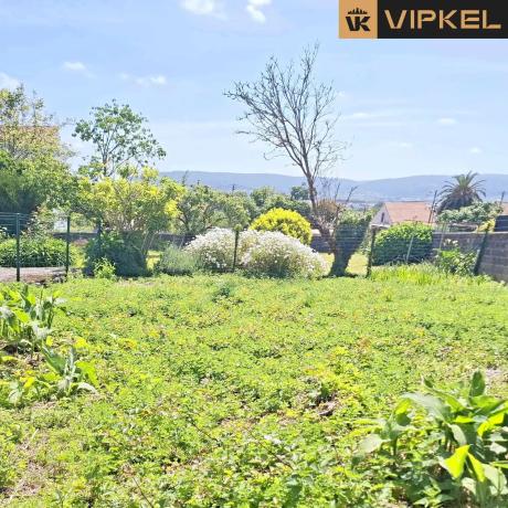 Terreno en camino de San Pedro