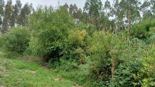 Terreno en Santa Mariña Do Monte