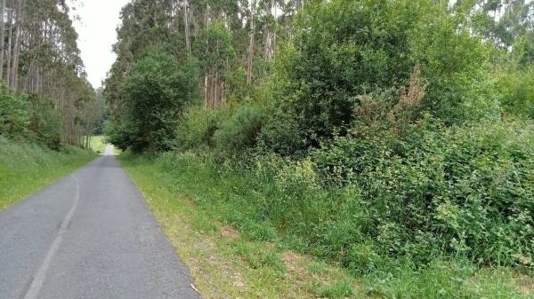 Terreno en Santa Mariña Do Monte