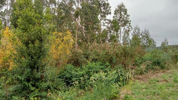 Terreno en Santa Mariña Do Monte