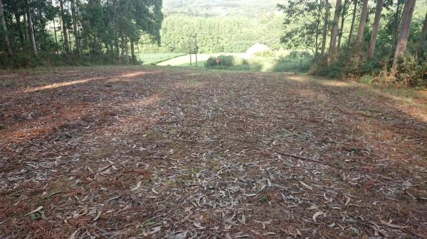 Terreno en San Bartolo, 1