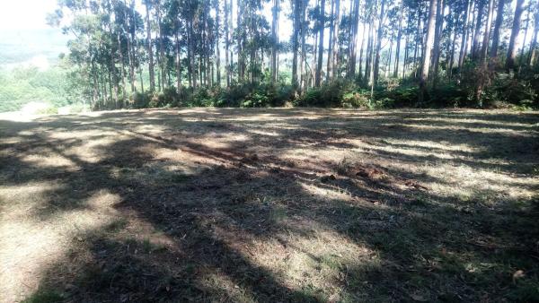 Terreno en San Bartolo, 1