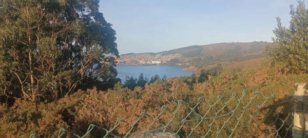 Terreno en San Felipe Núcleo s/n