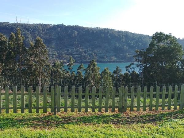 Terreno en San Felipe Núcleo s/n