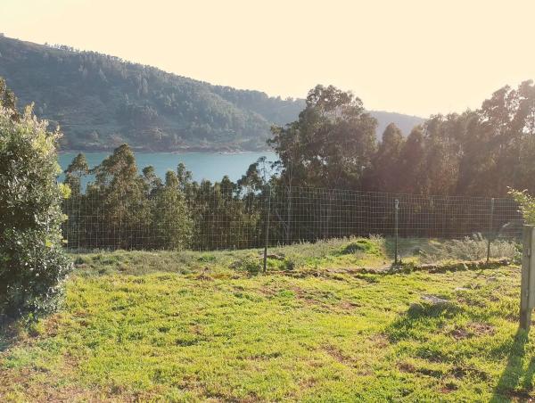 Terreno en San Felipe Núcleo s/n