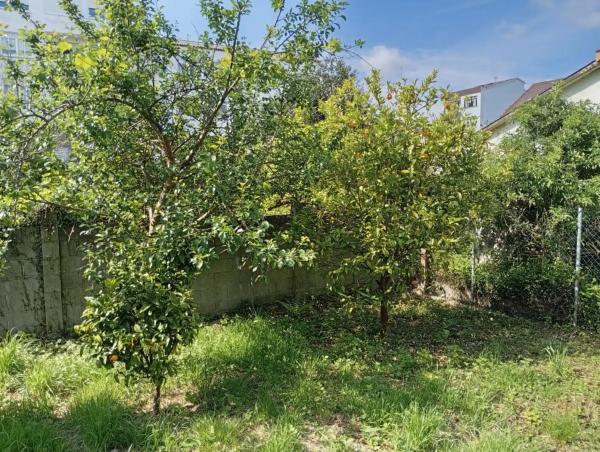 Terreno en calle Ameneiral, 7