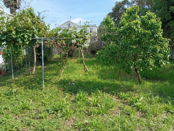 Terreno en calle Ameneiral, 7