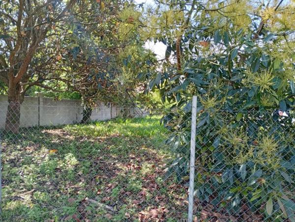 Terreno en calle Ameneiral, 7