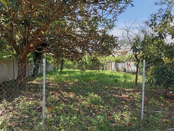 Terreno en calle Ameneiral, 7