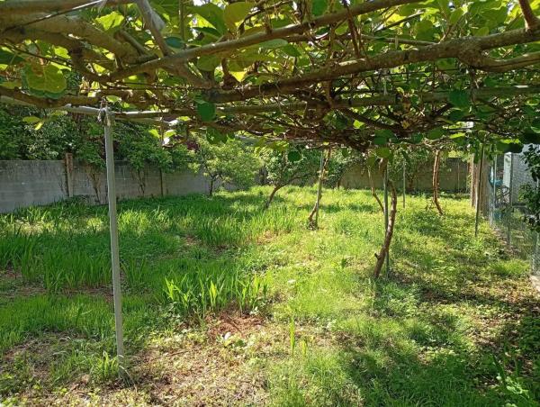 Terreno en calle Ameneiral, 7