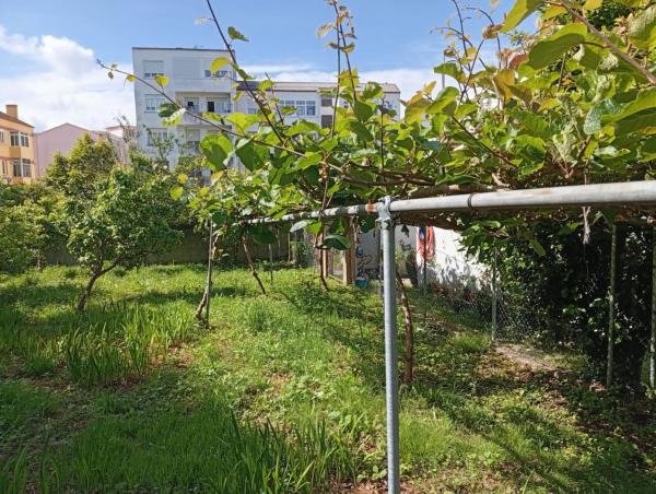 Terreno en calle Ameneiral, 7