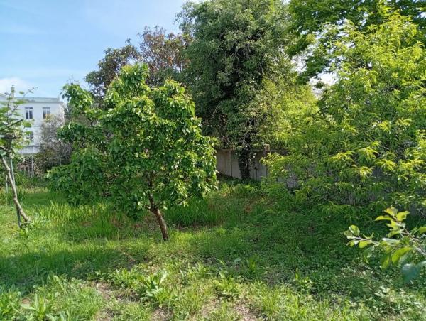 Terreno en calle Ameneiral, 7