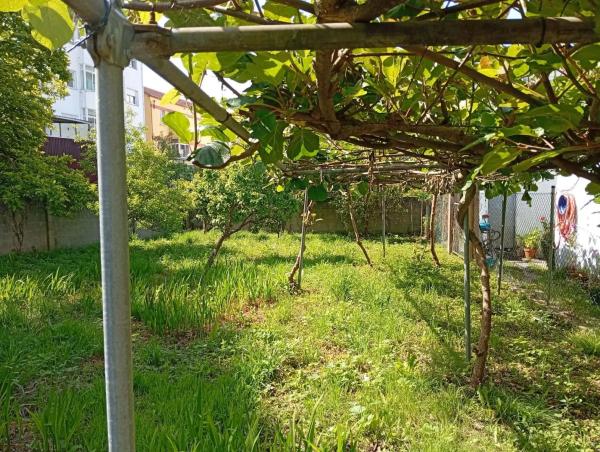 Terreno en calle Ameneiral, 7