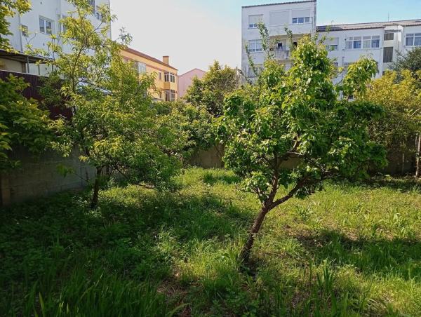 Terreno en calle Ameneiral, 7