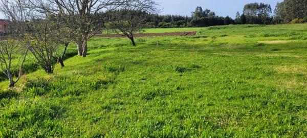 Terreno en Lugar o Campo, 65