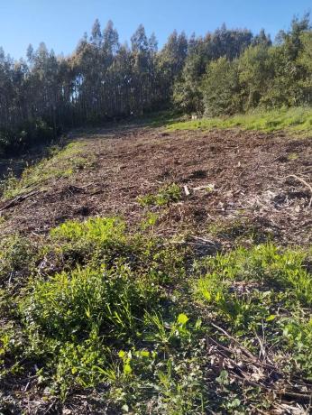 Terreno en Lugar Penadovico, 2