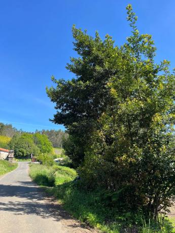 Terreno en Lugar Penadovico, 2
