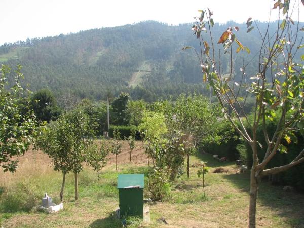 Terreno en camino do Trece, 84