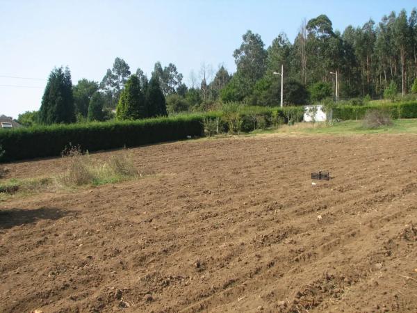 Terreno en camino do Trece, 84