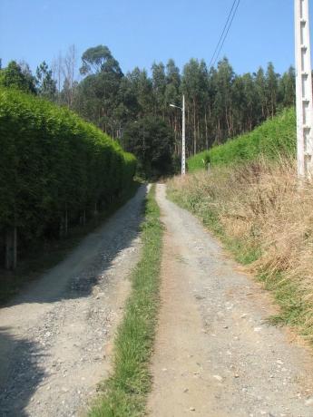 Terreno en camino do Trece, 84