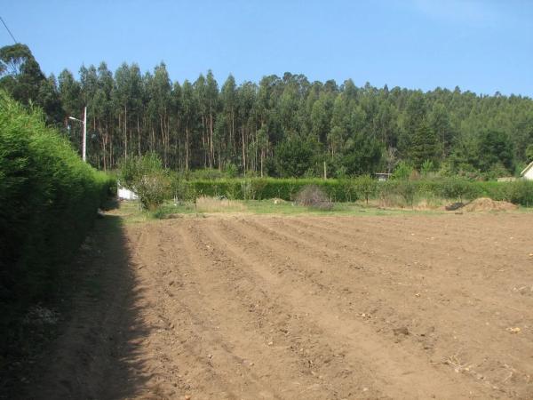 Terreno en camino do Trece, 84