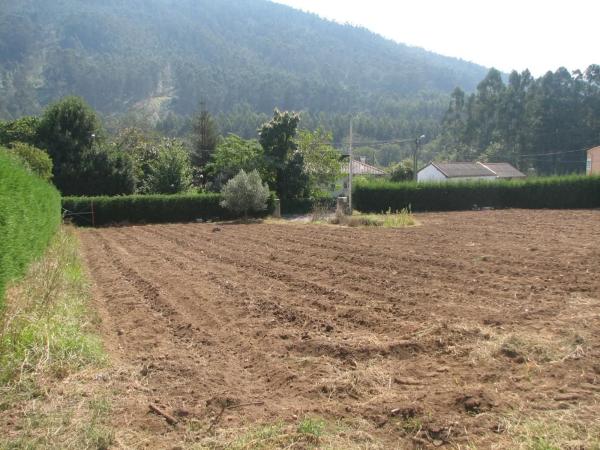 Terreno en camino do Trece, 84
