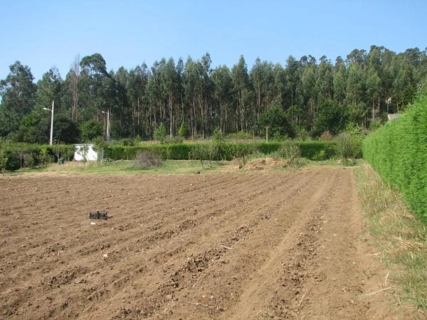 Terreno en camino do Trece, 84
