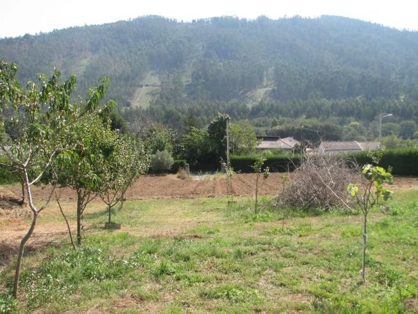 Terreno en camino do Trece, 84