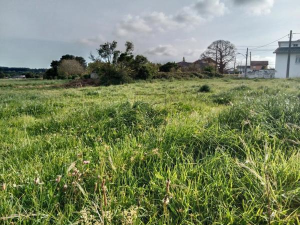 Terreno en Valdoviño