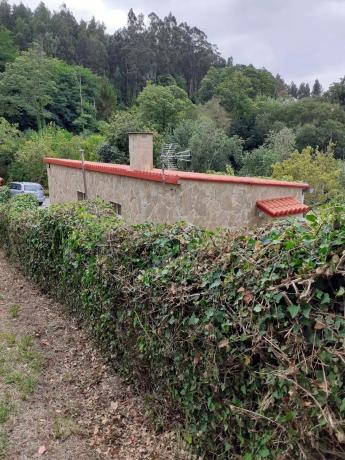 Terreno en Lugar Peneiro