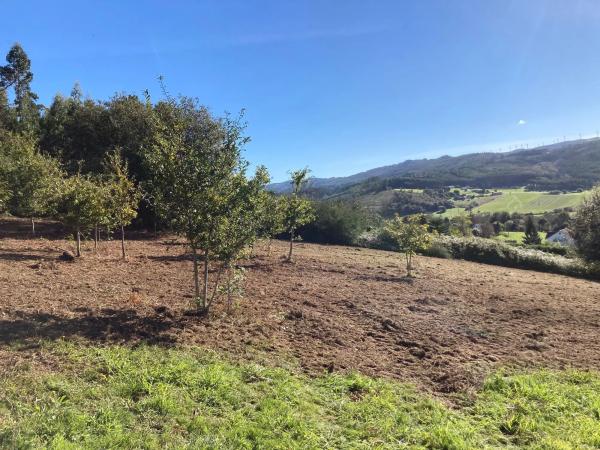 Terreno en Outeiro s/n