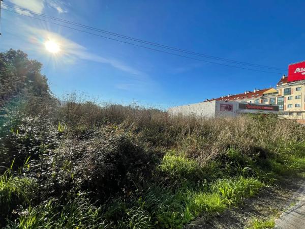 Terreno en camino de Castela, 694