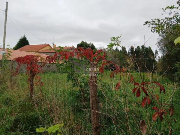 Terreno en San Mateo-Castro-O Val