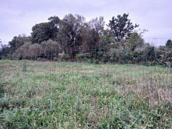 Terreno en San Mateo-Castro-O Val