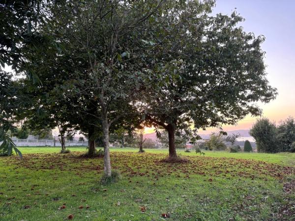 Terreno en camino del Revolto, 7 b