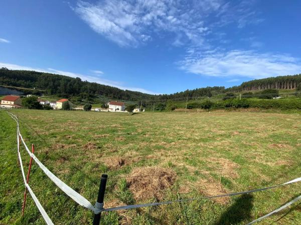 Terreno en Dp-3602, 26