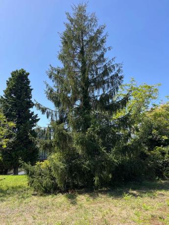 Terreno en Lugar Raso, 3