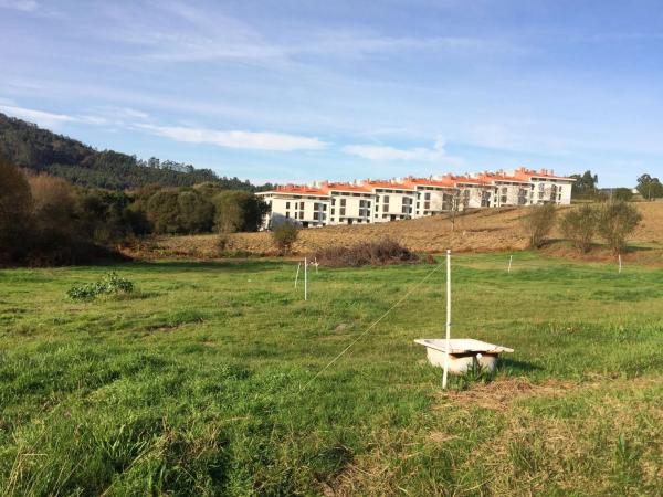 Terreno en Aldea Roibeiras, 1
