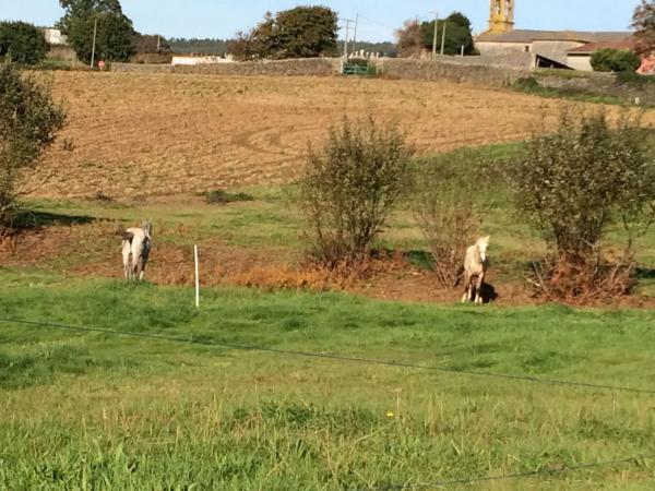 Terreno en Aldea Roibeiras, 1